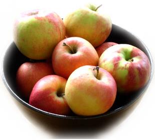 Apple Fruit